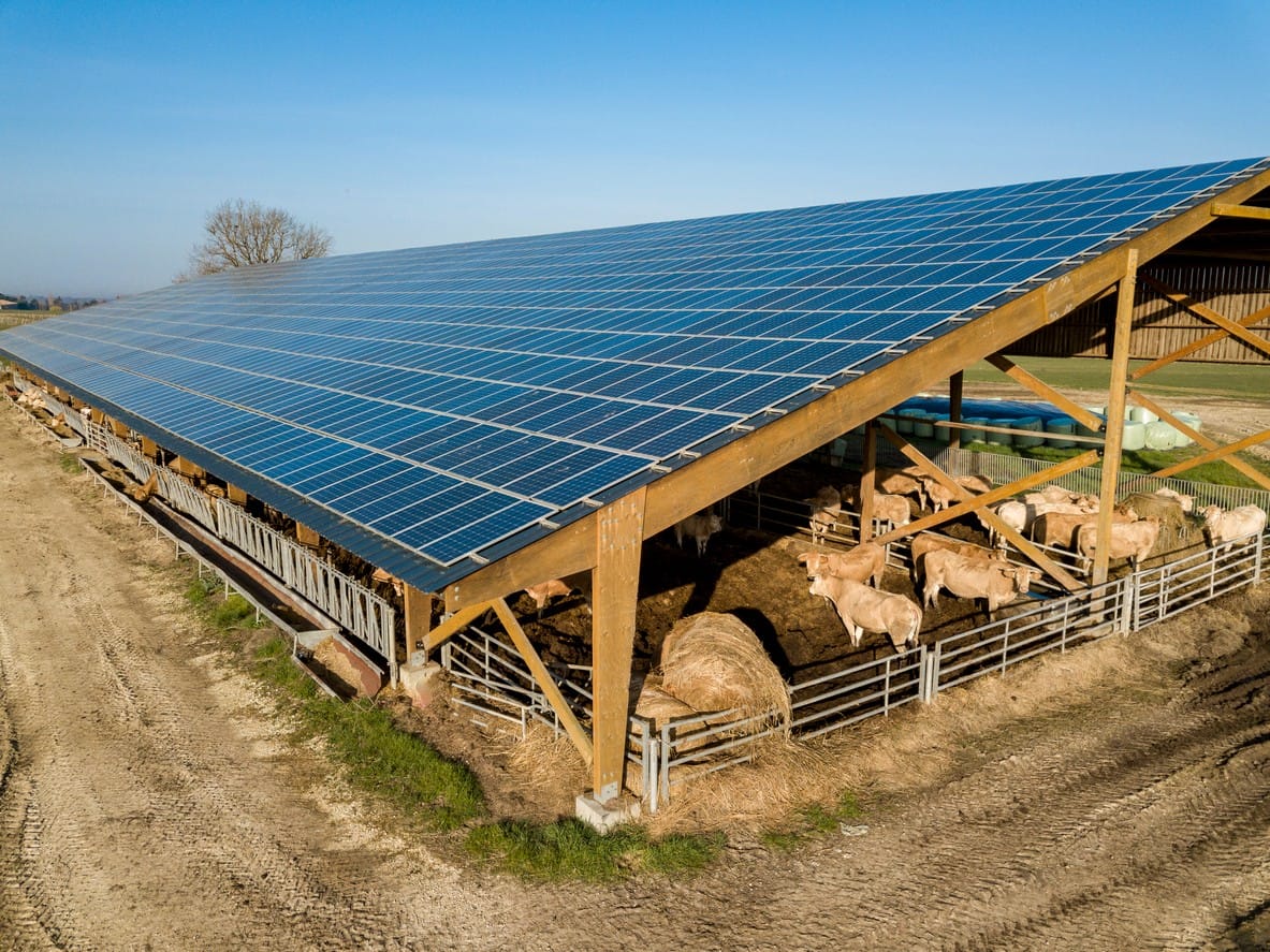 Dairy Farm Solar
